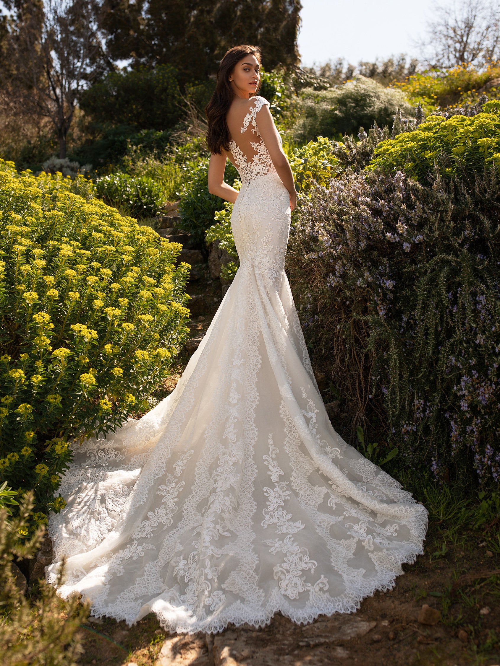 Pronovias Despina Sample